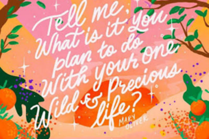 "Tell me, what is it you plan to do with your one wild & precious life?"--Mary Oliver